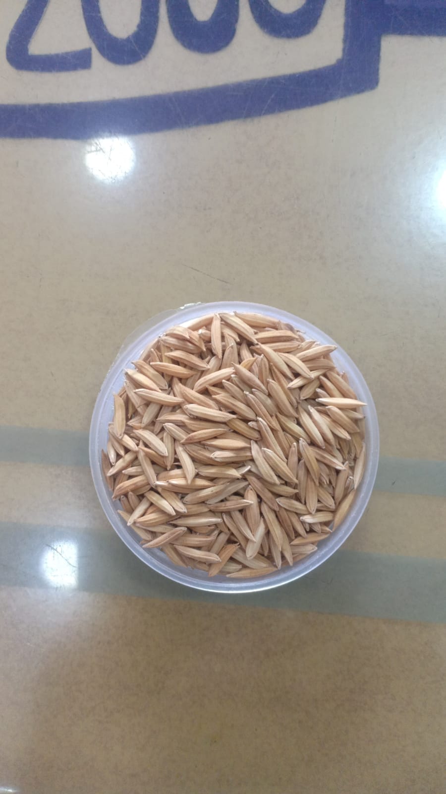 KASTURI GOLD (कस्तूरी गोल्ड) Paddy Seeds 3Kg